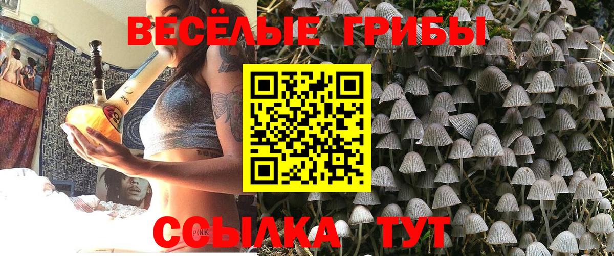 Галлюциногенные грибы мухоморы Шали