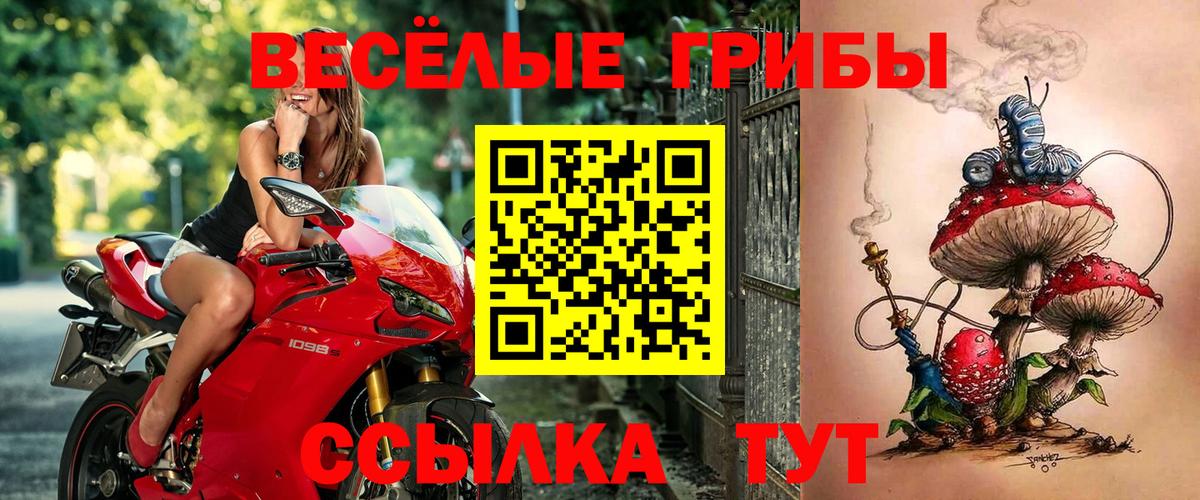 Псилоцибиновые грибы мицелий  Галлюциногенные грибы Cubensis  Шали  Вход с VPN 